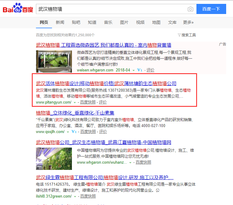 武漢植物墻